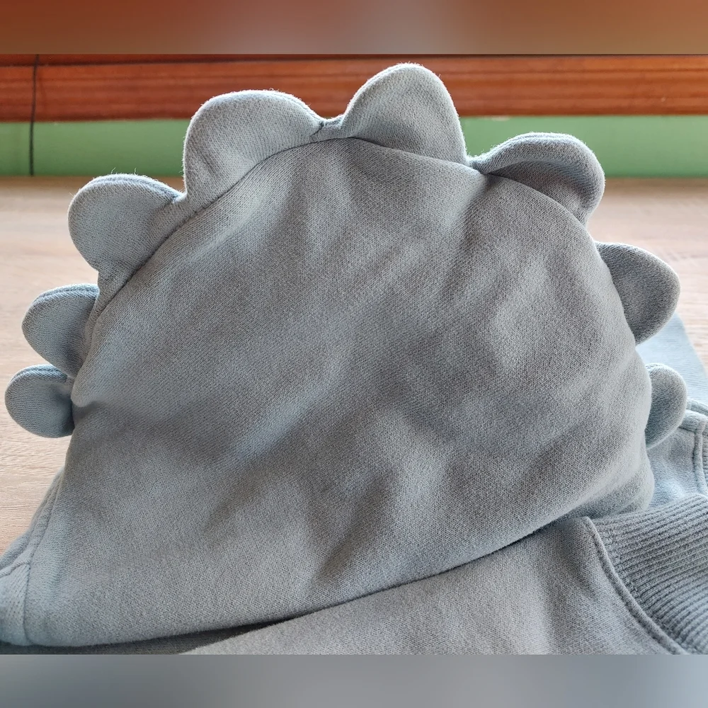 Rwar!!! Gymboree dinosaur hoodie 2T-3T - Picture 3 of 12